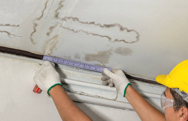 Affordable Water Damage Repair solutions in Monmouth, IL